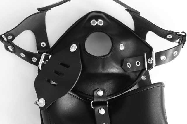 Head Harness with Mask and Mouth Panel