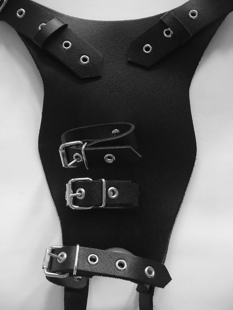 Leather Thong with Cock/Balls Restraints
