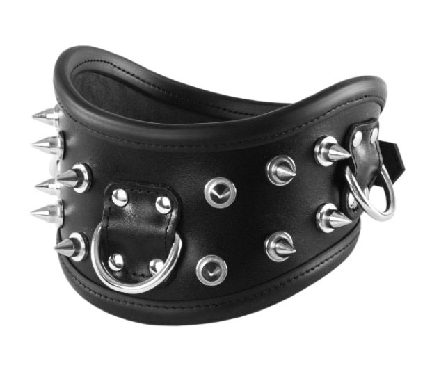 Posture Collar with Spikes