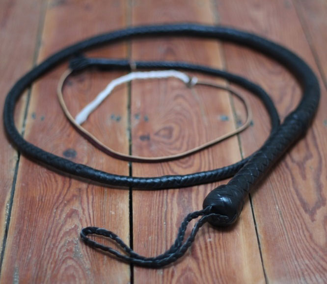 Classic Bullwhip