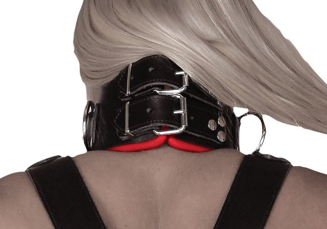 BDSM Posture Collar with Soft Padding