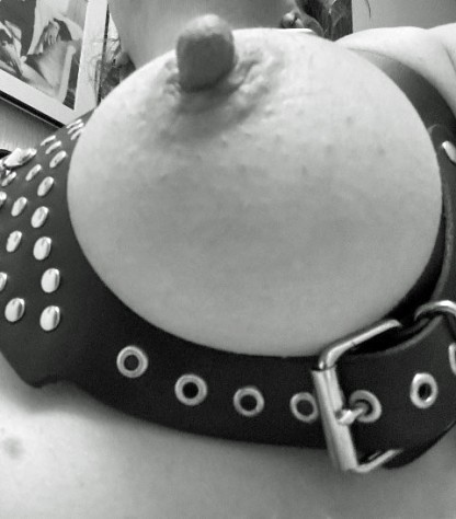 Open Breast Studded Harness