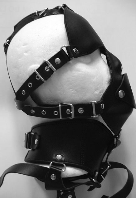 Head Harness with Posture Collar and Panel Gag